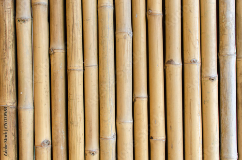 close up yellow bamboo nature fence texture for background