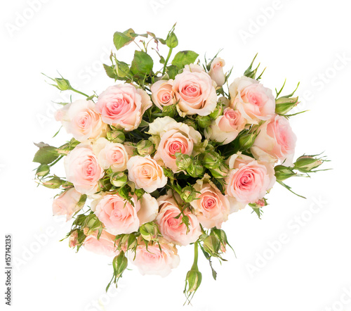 Bouquet of pink blooming fresh roses with buds top view isolated on white background