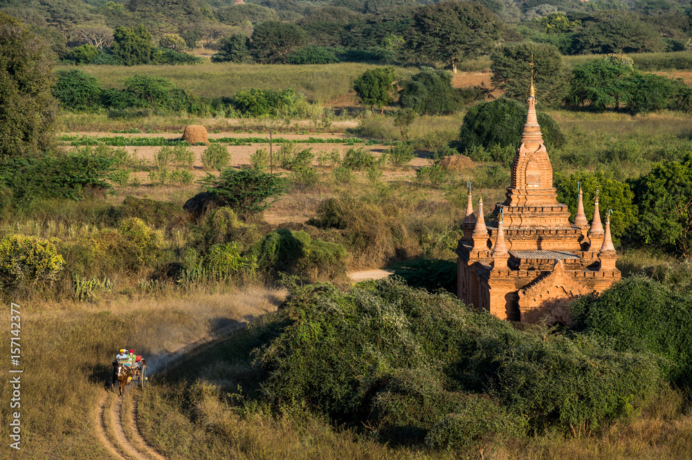 Horse carriage with old pagodas in Bagan Mandalay region, Myanmar (Burmar)