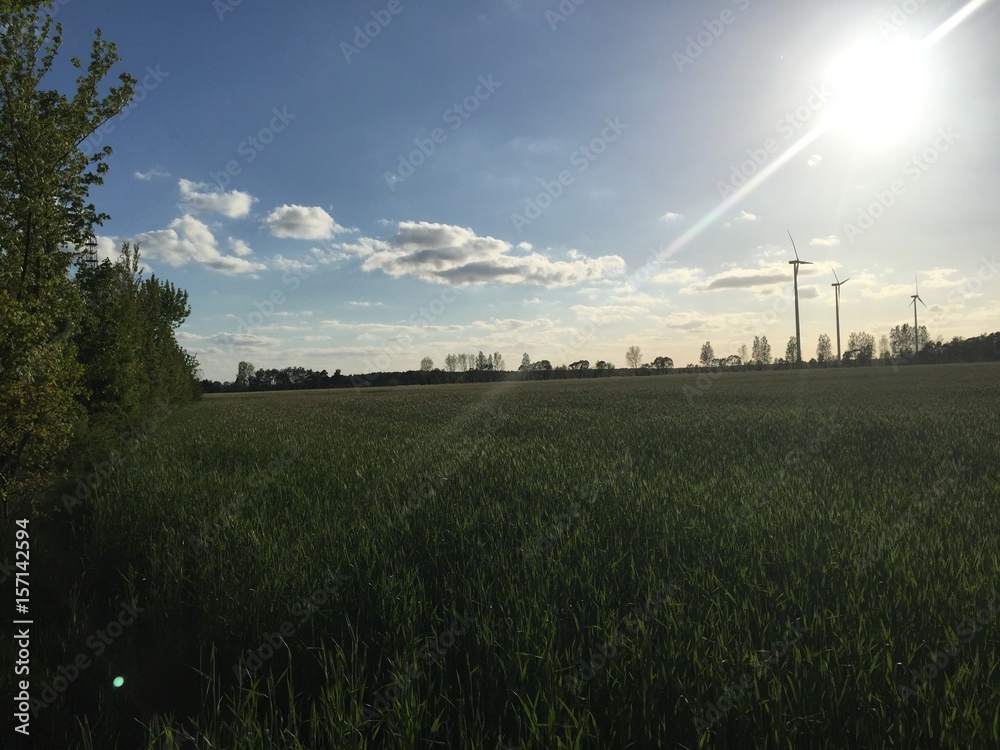 Feld Feld