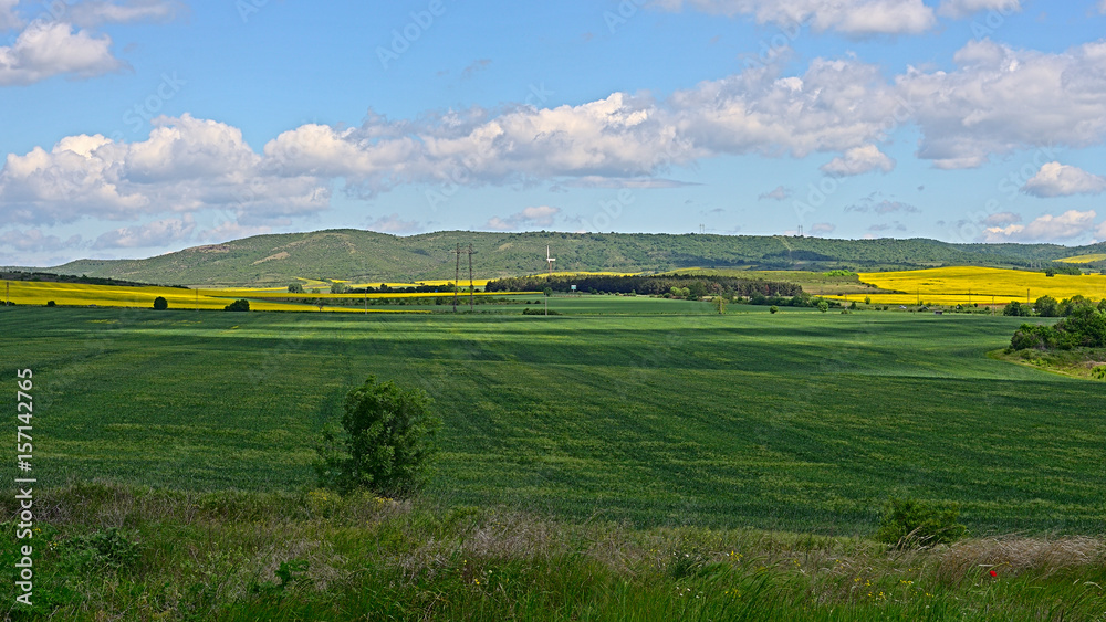 The green wheat field on the background of yellow rapeseed fields, the beautiful view on a valley among the Balkan mountains in spring.