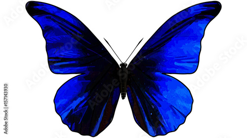Blue butterfly in flight