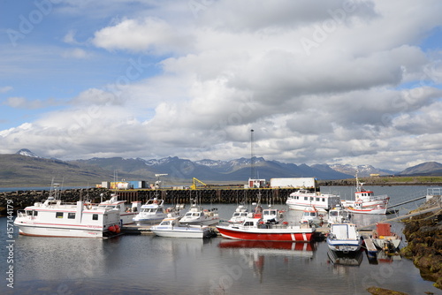 Hafen von Breiddalsvik, Island photo