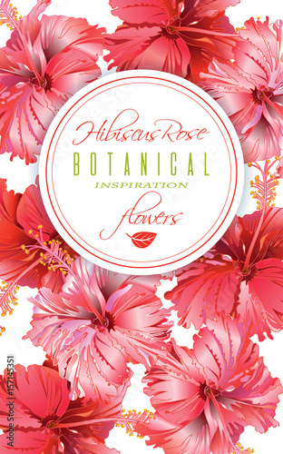 Hibiscus flower banner