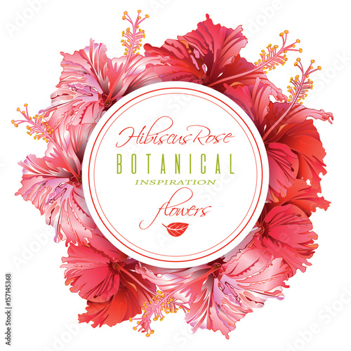 Hibiscus round banner