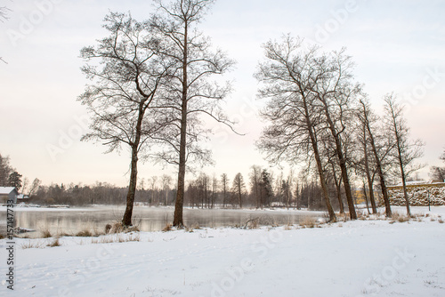 Landscape, winter morning in Priozersk, Russia