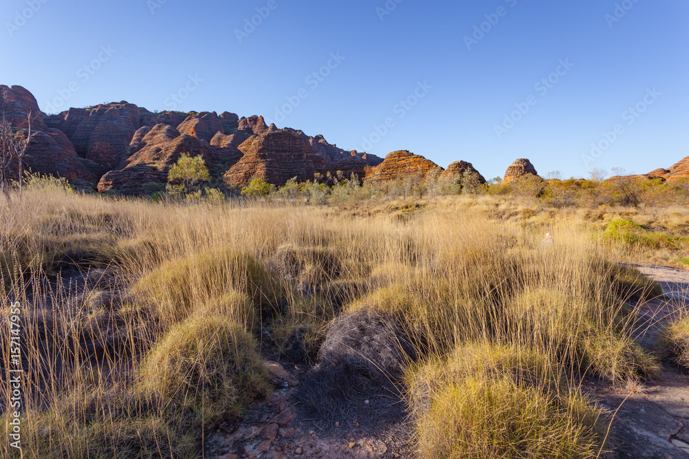 Obraz premium Late afternoon view of the southern face of the Bungle Bungle Massif, Purnululu National Park, Kimberley