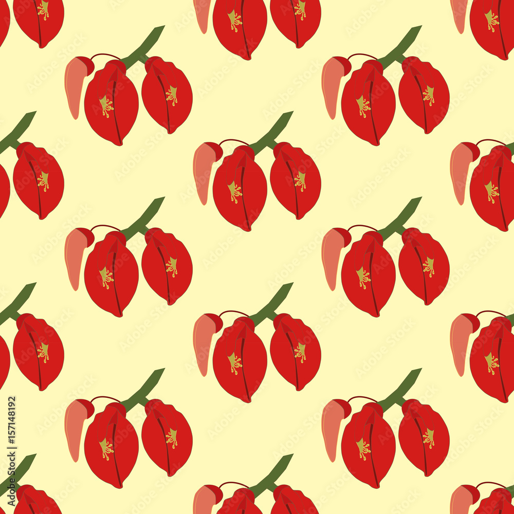 Erythrina flowering plant pattern Erythrina flowering plant pattern