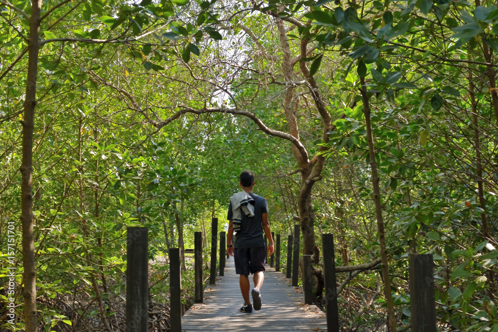 The boy travel alone through mangrove forest at Rayong Thailand