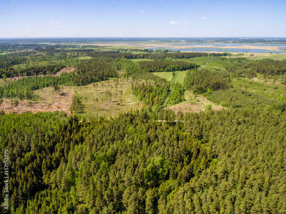 drone image. aerial view of rural area with forest and swamp lake