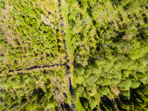 drone image. aerial view of rural area with forest and swamp lake