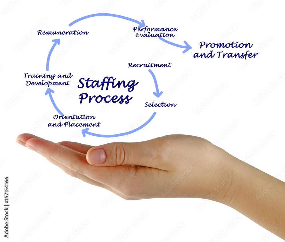 Staffing Process Staffing Process
