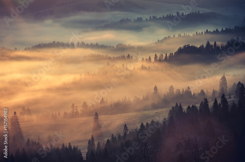 Fototapeta Naklejka Na Ścianę i Meble -  Misty mountain forest landscape in the morning, Poland