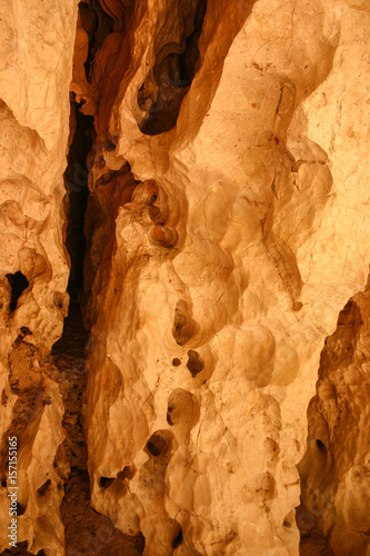 Erosion of limestone walls of the Napier Range at Windjana Gorge, Kimberley Region, Western Australia. 