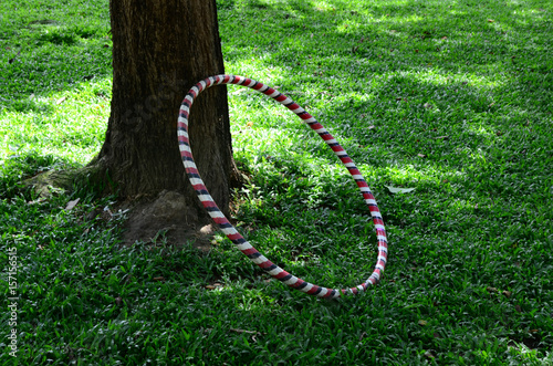 A hula hoop leaning on a trunk in the park