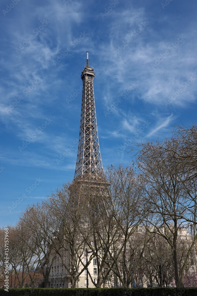 Tour Eiffel et arbres en diagonale