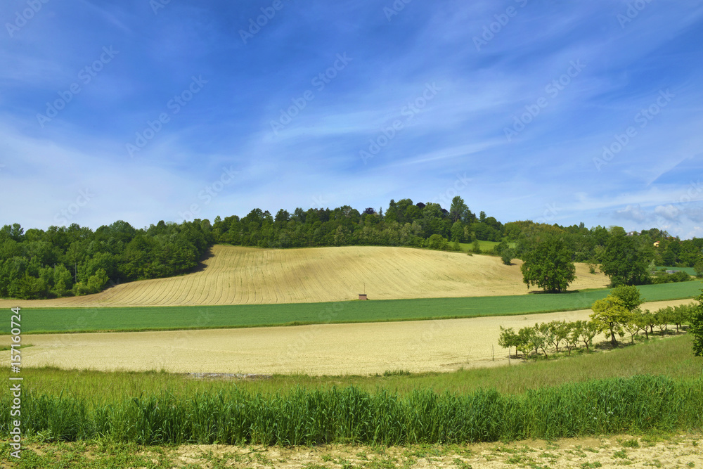 Fototapeta premium Paesaggio di campagna.