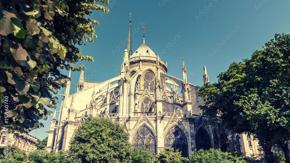 Notre Dame Cathedral, Paris, France, vintage effect