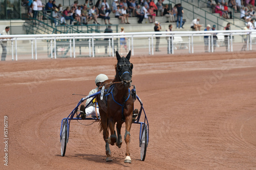 Foto sulky