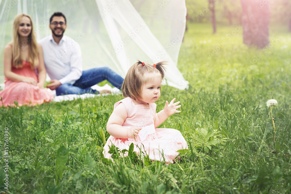 girl on the grass looks and stretches for dandelion. Parents in the background. girl on the grass looks and stretches for dandelion. Parents in the background.
