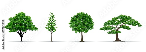 tree set realistic vector illustration photo