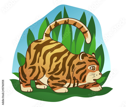 Fototapeta Naklejka Na Ścianę i Meble -  Fat little tiger