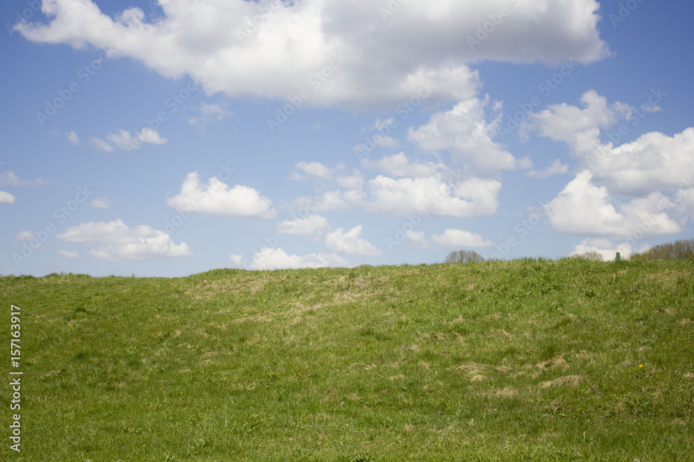 field on a background of the blue sky