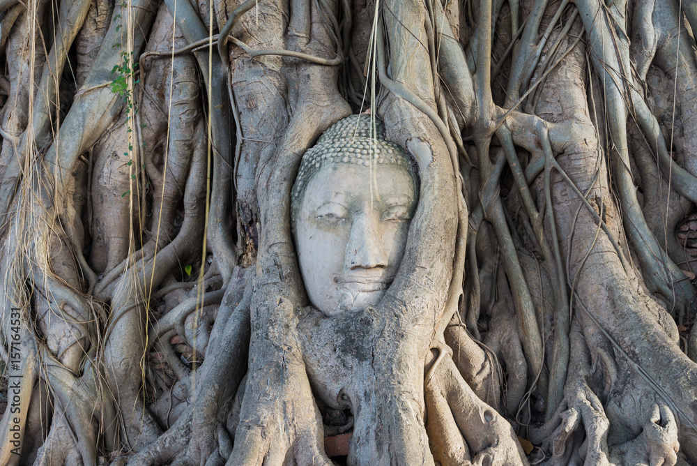 Head of Sandstone Buddha in The Tree Roots at Wat Mahathat, Ayutthaya, Thailand Head of Sandstone Buddha in The Tree Roots at Wat Mahathat, Ayutthaya, Thailand