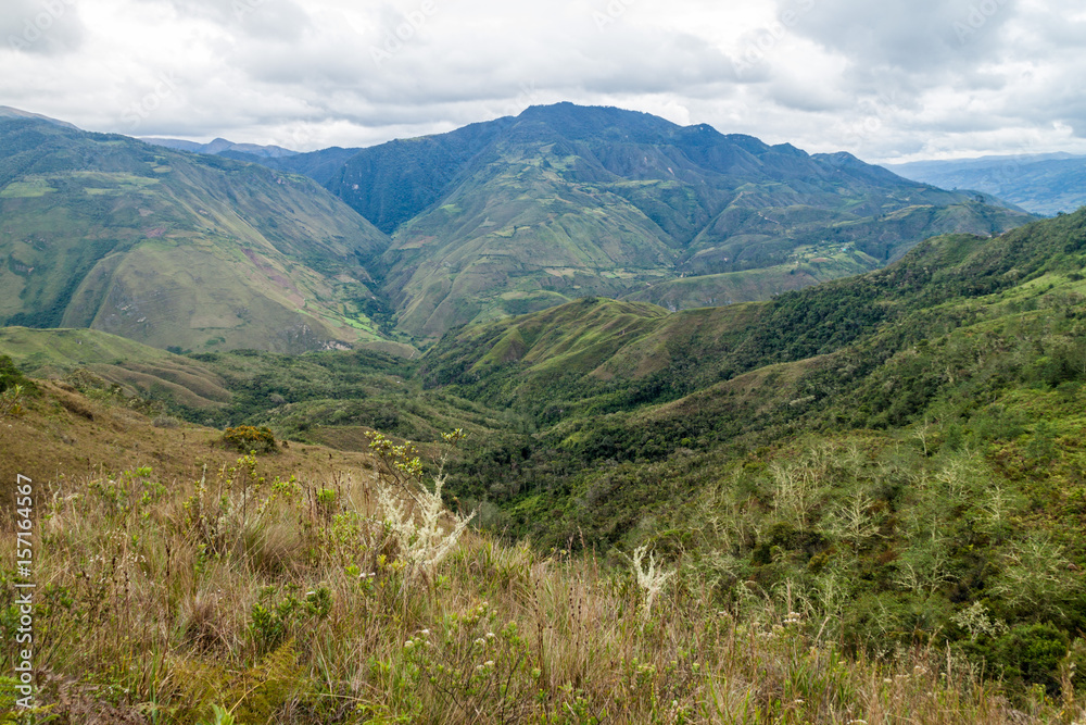 Countryside in cloud forest mountains around Leymebamba, northern Peru.