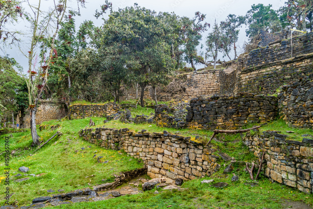 Cloud forest trees covering ruins of Kuelap, northern Peru