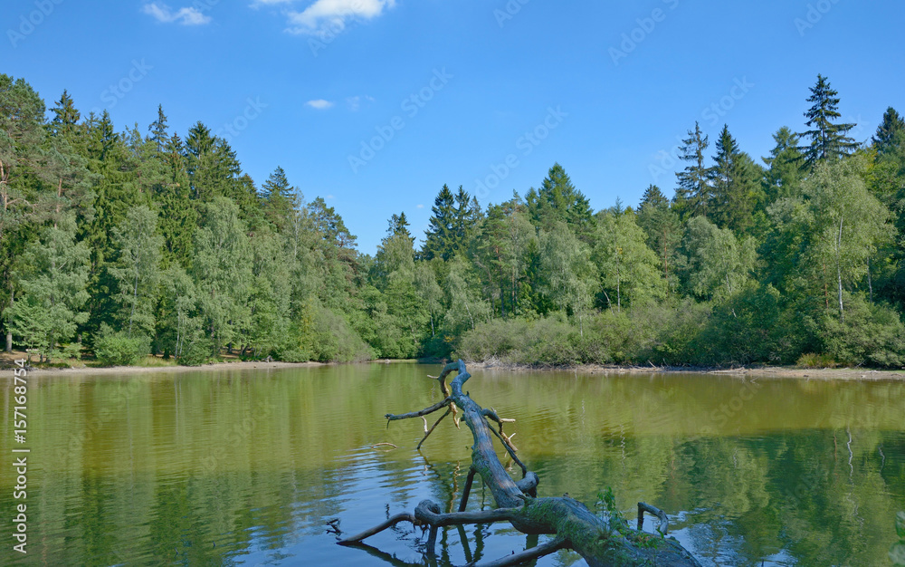Obraz premium am Wiesbüttsee,ein Waldsee im Spessart zwischen Bayern und Hessen,Deutschland