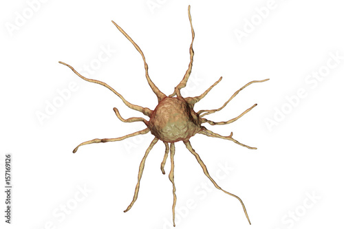 Cancer cell isolated on white background, tumour cell, close-up view, 3D illustration