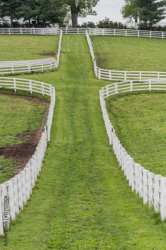 The Space Between the Paddocks