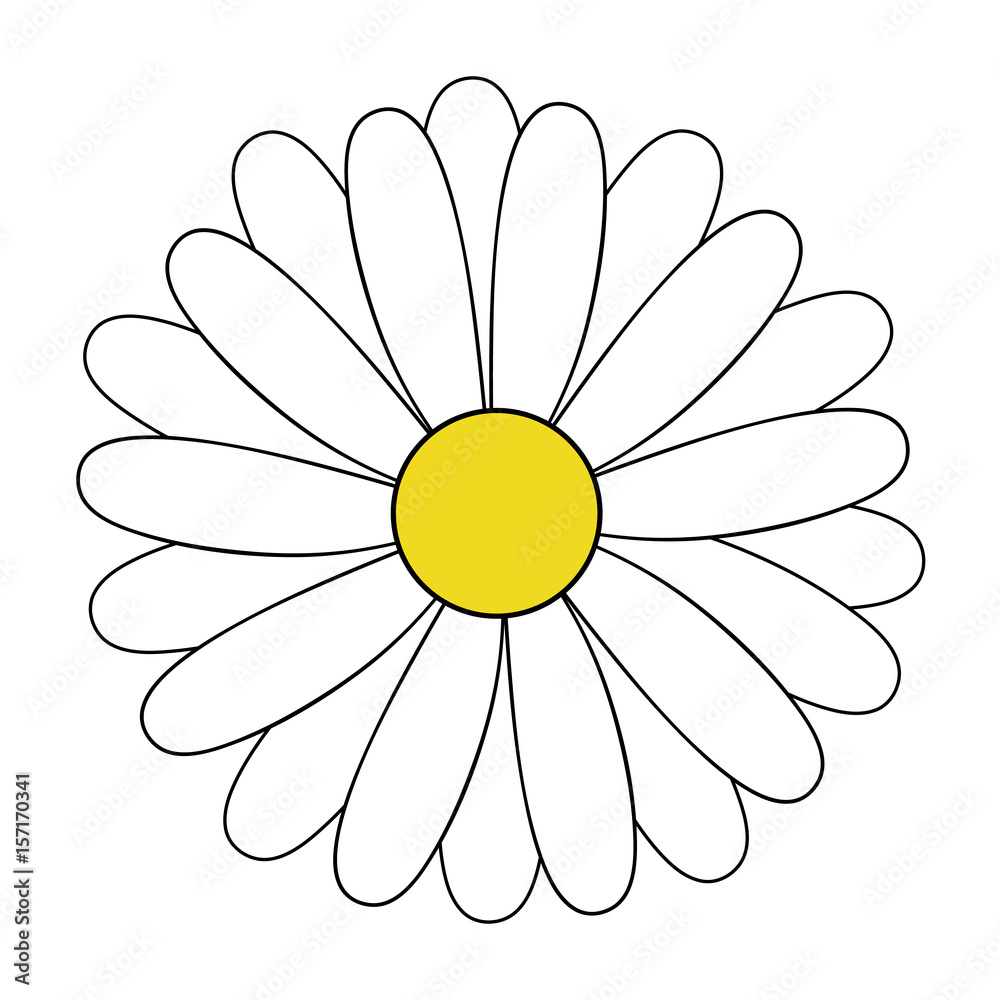 White doodle daisy drawing, vector illustration. Stock Vector