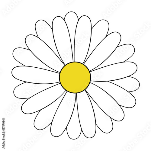 White doodle daisy drawing, vector illustration. Stock Vector | Adobe Stock