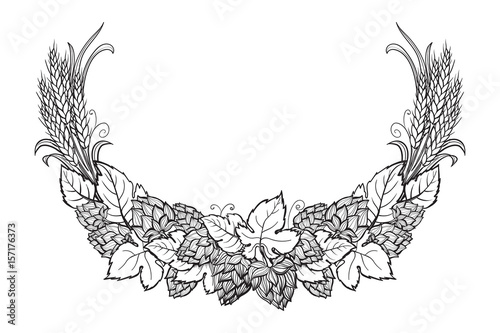 Wheat and beer hops branch with wheat ears, leaves and hop cones. Sketch and engraving design plant angular frame. All element isolated.