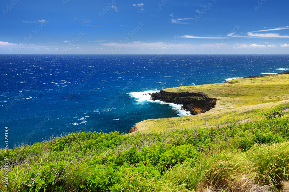 Beautiful landscape of South Big Island of Hawaii