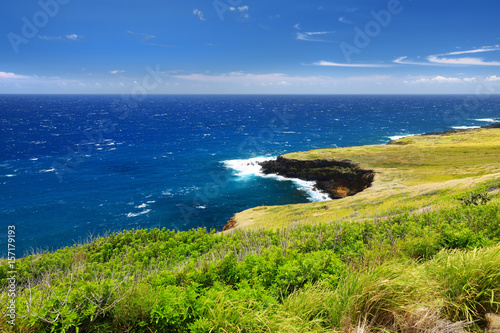 Beautiful landscape of South Big Island of Hawaii © MNStudio
