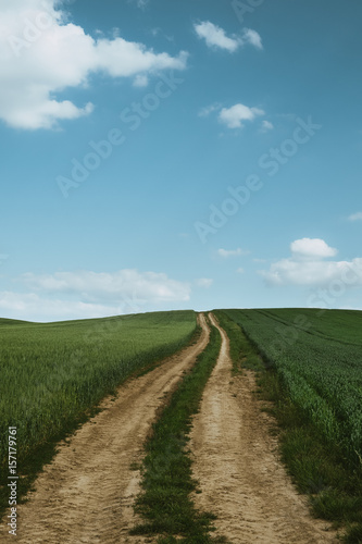 Dirt road across wheat field