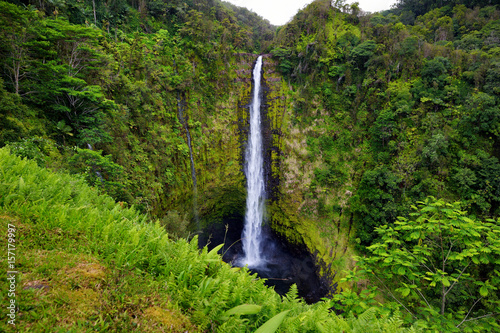 Majestic Akaka Falls waterfall located on Kolekole Stream on the Big Island of Hawaii photo