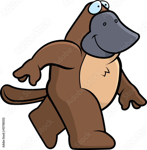 Platypus Walking
