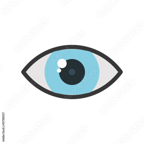 eye icon over white background. vector illustration