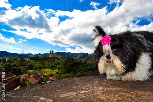 Yumi Ouro Preto photo