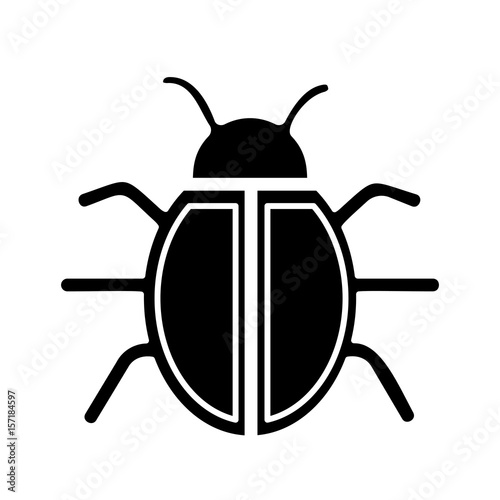 bug icon over white background. vector illustration photo