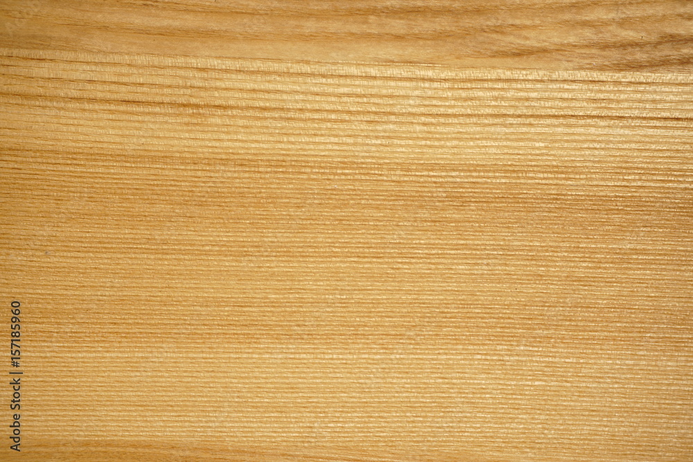 Fototapeta premium fragment background of wooden texture ash for designers