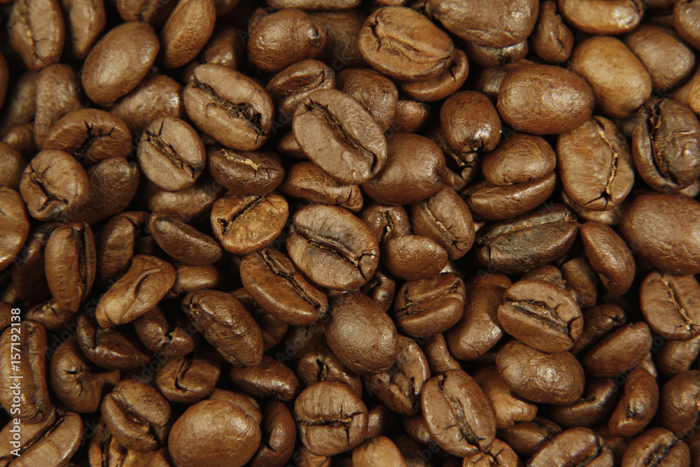 Fototapeta premium Coffee beans