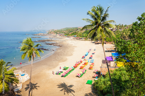 Beach in Goa, India photo