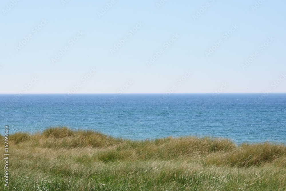 Nordseeküste mit langen Gräsern an einem sonnigen Frühlingstag