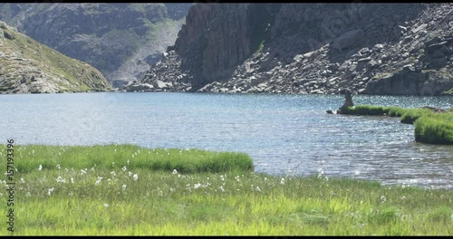 river Rhein spring in Switzerland 