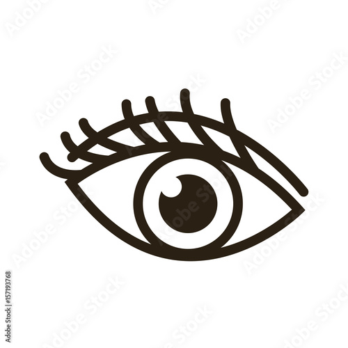 cartoon eye human vision look watch icon vector illustration